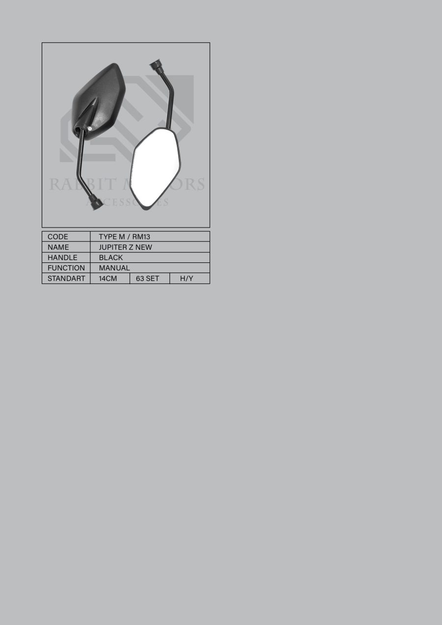 Rabbit-Motors-NEW-Medium-Type_Page_5