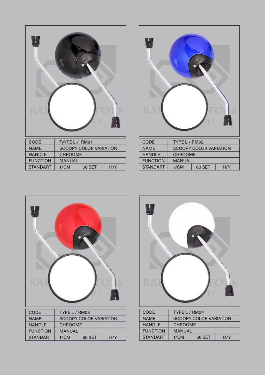 Rabbit-Motors-NEW-Standard-Type-2_Page_2