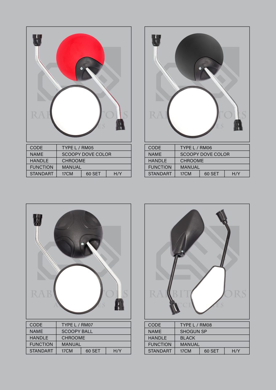 Rabbit-Motors-NEW-Standard-Type-2_Page_3