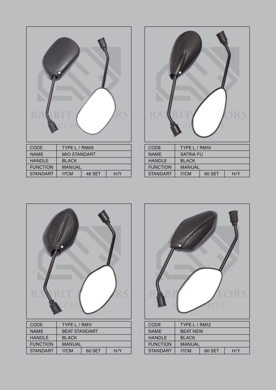 Rabbit-Motors-NEW-Standard-Type-2_Page_4