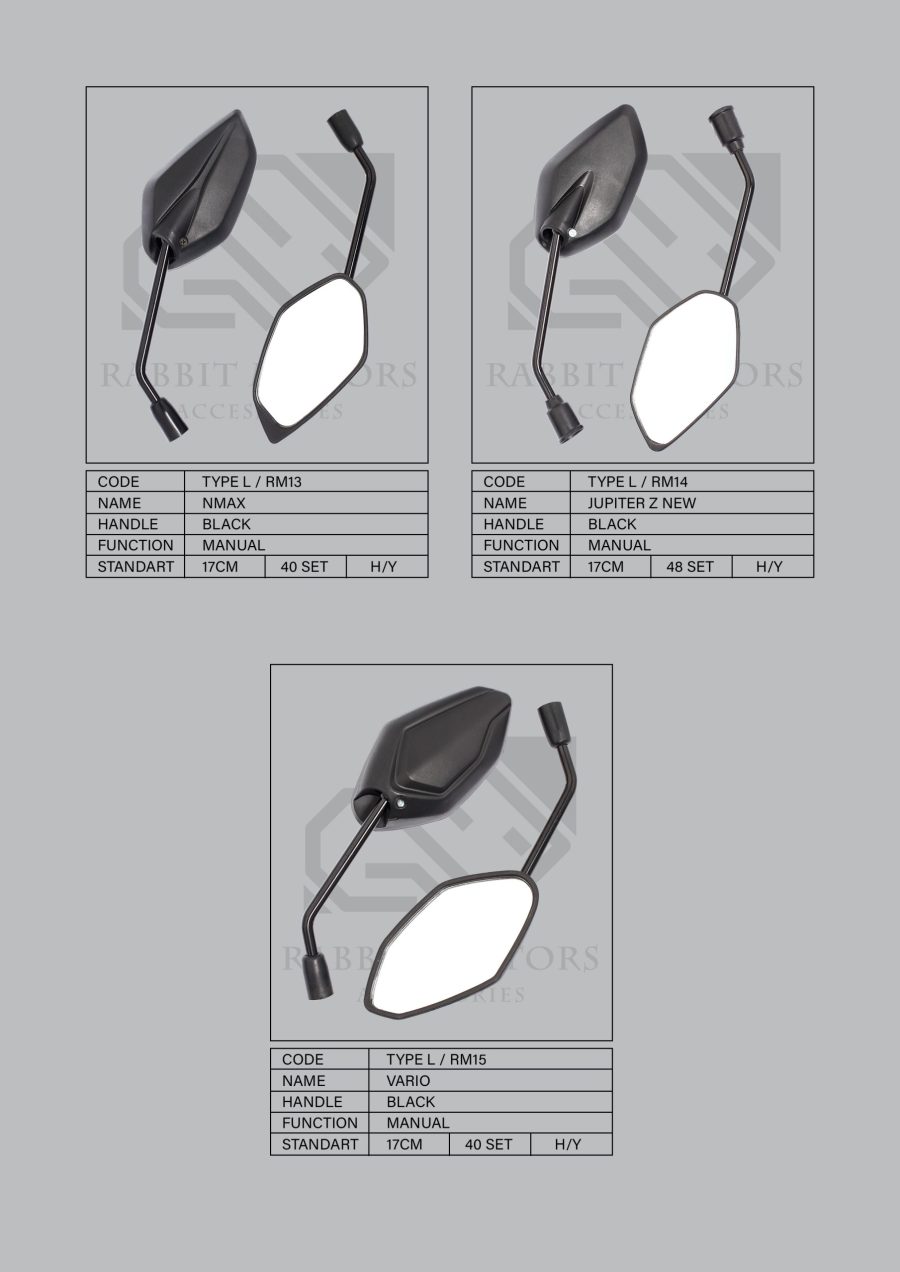 Rabbit-Motors-NEW-Standard-Type-2_Page_5